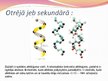 Prezentācija 'Olbaltumvielas - proteīni', 9.