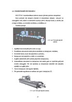 Referāts 'Iepakojums desām', 27.