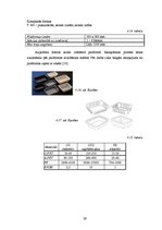 Referāts 'Iepakojums desām', 29.