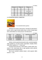 Referāts 'Iepakojums desām', 30.