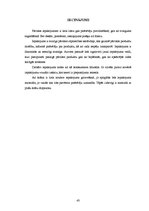 Referāts 'Iepakojums desām', 43.