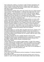 Referāts 'Datorvīrusi', 6.