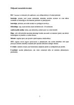 Referāts 'Sociālo tīklu loma Latvijā bāzētu B2C uzņēmumu mārketinga stratēģijās', 2.