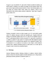 Referāts 'Sociālo tīklu loma Latvijā bāzētu B2C uzņēmumu mārketinga stratēģijās', 13.