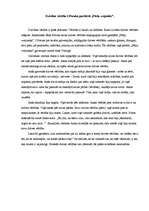 Eseja 'Dzīvības vērtība J.Poruka garstāstā "Pērļu zvejnieks"', 1.