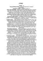 Konspekts 'Cinks', 1.