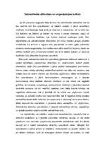 Eseja 'Sabiedriskās attiecības un organizācijas kultūra', 1.