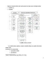 Referāts 'Uzņēmuma SIA "Drēbīte" investīciju iespējas un investēšanas politikas veiksmīga ', 5.