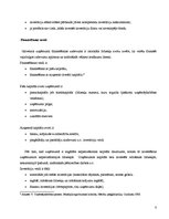 Referāts 'Uzņēmuma SIA "Drēbīte" investīciju iespējas un investēšanas politikas veiksmīga ', 8.