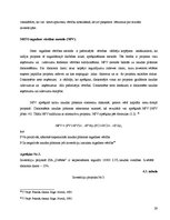 Referāts 'Uzņēmuma SIA "Drēbīte" investīciju iespējas un investēšanas politikas veiksmīga ', 29.