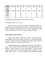 Referāts 'Uzņēmuma SIA "Drēbīte" investīciju iespējas un investēšanas politikas veiksmīga ', 30.