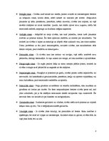 Referāts 'Roku žestu komunikācija', 8.