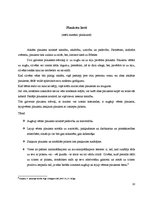 Referāts 'Roku žestu komunikācija', 10.