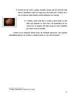 Referāts 'Roku žestu komunikācija', 17.