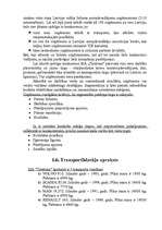 Referāts 'Tehnisko un darbaspēka resursu efektivitāte SIA „Timtrans”', 17.