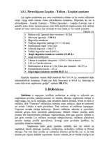 Referāts 'Tehnisko un darbaspēka resursu efektivitāte SIA „Timtrans”', 21.