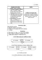 Referāts 'Tehnisko un darbaspēka resursu efektivitāte SIA „Timtrans”', 31.