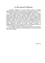 Referāts 'Tehnisko un darbaspēka resursu efektivitāte SIA „Timtrans”', 34.