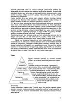 Referāts 'Seno valstu vēsture', 11.