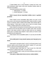 Referāts 'Valsts sociālie pabalsti Latvijā', 17.