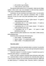 Referāts 'Valsts sociālie pabalsti Latvijā', 20.