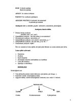 Referāts 'Runas attīstīšana', 9.