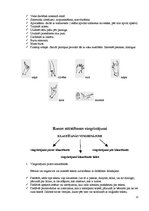 Referāts 'Runas attīstīšana', 11.