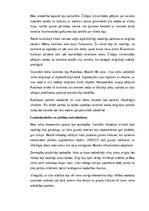 Konspekts 'Hetiti: vēsture, kultūra, mitoloģija, sabiedrība un kultūras mantojums', 11.