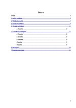 Referāts 'Datu bāzes audita realizācijas procesa apraksts un piemēri', 2.