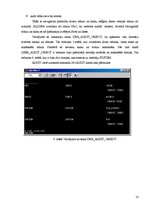 Referāts 'Datu bāzes audita realizācijas procesa apraksts un piemēri', 16.