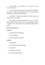 Referāts 'Veseli zobi - žilbinošs smaids', 4.