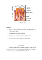 Referāts 'Veseli zobi - žilbinošs smaids', 6.