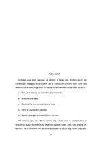 Referāts 'Veseli zobi - žilbinošs smaids', 12.