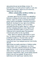 Eseja 'Kurzemes-Zemgales hercogiste hercoga Jēkaba laikā', 4.