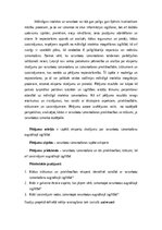 Referāts 'Sarunbotu izmantošana augstākajā izglītībā:  ekspertu skatījums', 6.