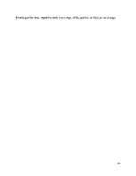 Referāts '"Viena josta, viens ceļš" iniciatīva Ķīnas Tautas Republikas attīstības kontekst', 20.