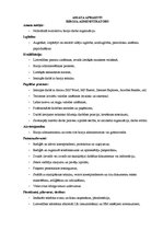 Paraugs 'Biroja administratora amata apraksts', 1.