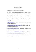 Referāts 'Cements', 13.