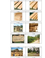 Referāts 'Mežs ir dzīve', 15.