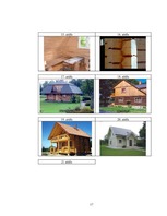 Referāts 'Mežs ir dzīve', 17.