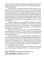 Referāts 'Kreditēšanas iespējas Latvijā', 9.