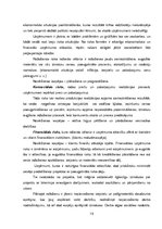 Prakses atskaite 'Prakses atskaite uzņēmumā "X"', 18.