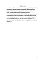 Referāts 'Cietais disks', 14.