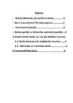 Referāts 'Traumatisms darba vietā', 2.