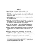 Referāts 'Traumatisms darba vietā', 3.