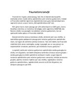 Referāts 'Traumatisms darba vietā', 5.