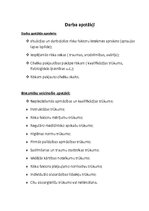 Referāts 'Traumatisms darba vietā', 6.