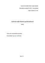 Referāts 'Galvenie soļi efektīvai pārliecināšanai', 1.