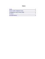 Referāts 'Kultūras teoriju daudzveidības izpausme teorētiķu darbos', 2.