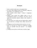 Referāts 'Kultūras teoriju daudzveidības izpausme teorētiķu darbos', 7.